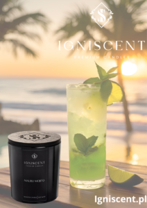 Letnie Mojito obok drink Mojito na tle plaży z palmą