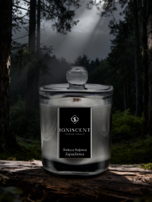 świeca sojowa zapachowa Sekrety lasu, piękna grafitowa świeca